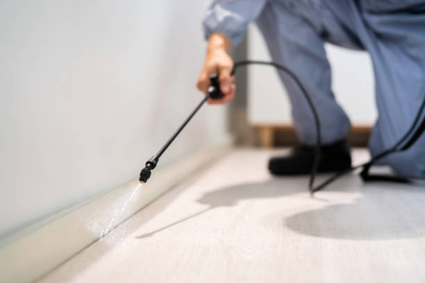 Licensed Fumigation Services service in Pueblo, CO - Nex Pest Control